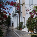 DSC 0740-watermarked