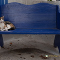 DSC_0751-watermarked.jpg