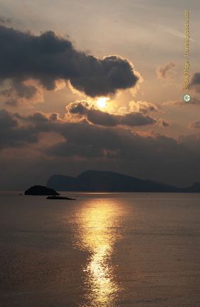 DSC 0824-watermarked