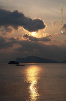 DSC 0824-watermarked