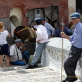 Fira Donkey handlers