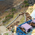 Fira's Donkey Station 