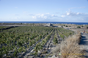 Santorini-Winery AJP 6235-watermarked