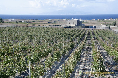 Santorini-Winery AJP 6236-watermarked