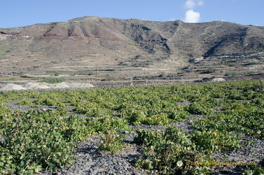 Santorini-Winery AJP 6237-watermarked