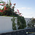 Santorini-Winery_AJP_6238-watermarked-topaz.jpg