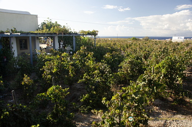 Santorini-Winery AJP 6242-watermarked