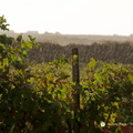 Santorini-Winery_AJP_6251-watermarked-topaz.jpg