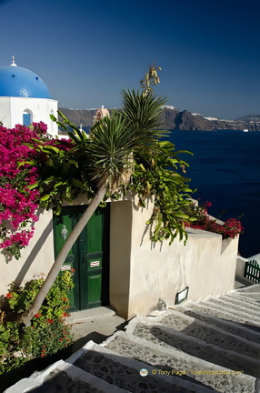 AJP 6531-watermarked-topaz