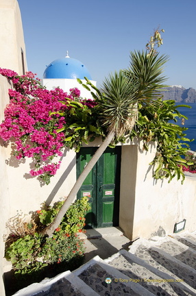 AJP 6538-watermarked