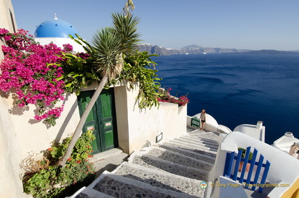 AJP 6540-watermarked