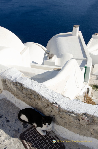 AJP 6542-watermarked