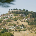Delphi_AJP_3155-watermarked.jpg