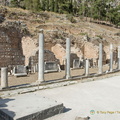 Delphi AJP 3216-watermarked