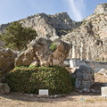 Delphi_AJP_3229-watermarked.jpg