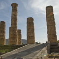 Delphi_AJP_3238-watermarked.jpg