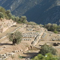 Delphi AJP 3261-watermarked