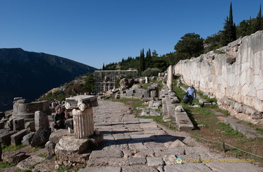 Delphi DSC 0501-watermarked