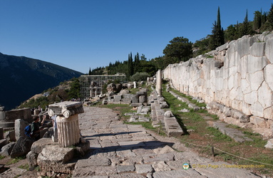 Delphi DSC 0502-watermarked
