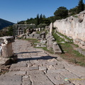 Delphi_DSC_0503-watermarked.jpg