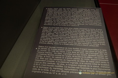 Delphi DSC 0906-watermarked-topaz