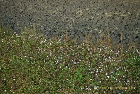 Meteora AJP 3042-watermarked