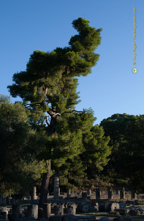 Olympia DSC 0562-watermarked