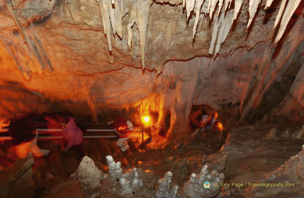 DSC 0353-watermarked-2