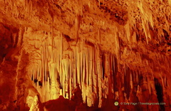 DSC 0362-watermarked-2