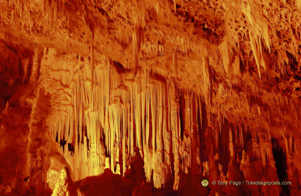 DSC 0362-watermarked-2