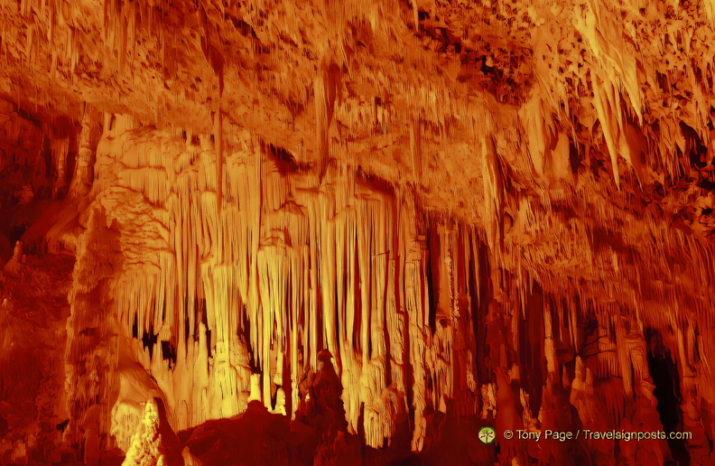 DSC 0362-watermarked-2