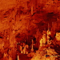 DSC 0366-watermarked-3