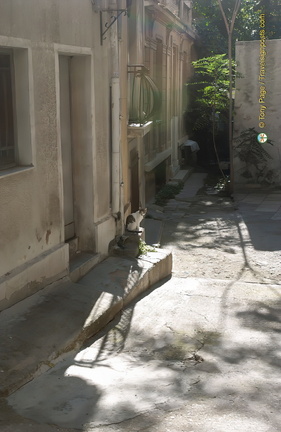 DSC 0629-watermarked-2 (665 visits) DSC 0629-watermarked-2