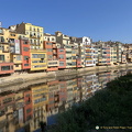 IMG 3517-watermarked