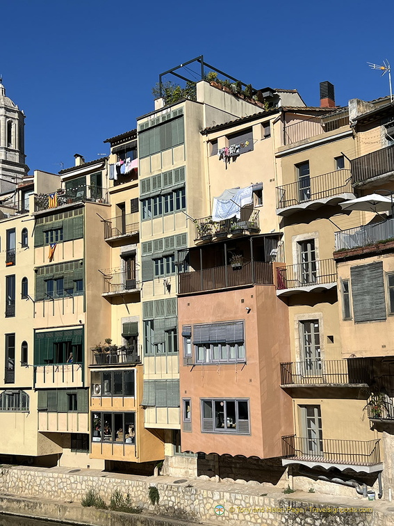 IMG 3705-watermarked (635 visits) IMG 3705-watermarked