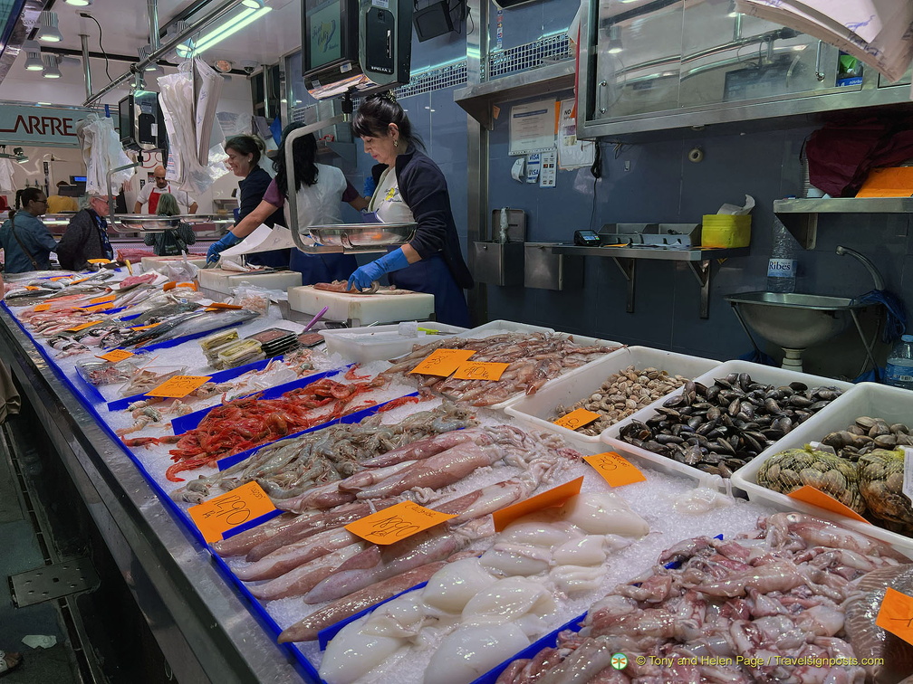 IMG 3569-watermarked