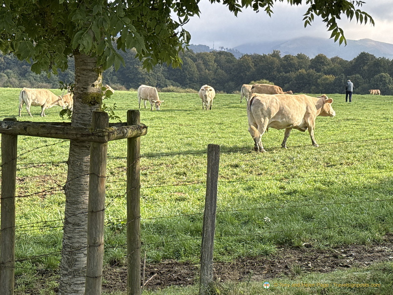 Auritz-Burguete farm