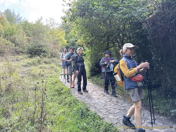 Camino Francés walkers