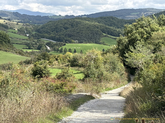 Beautiful rolling green hills