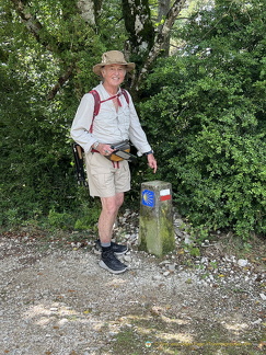 Camino scallop signpost
