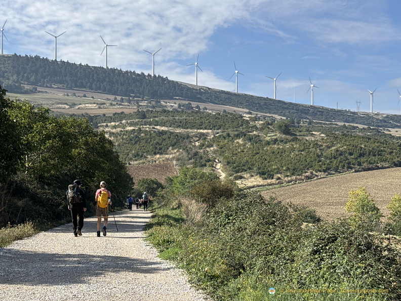 IMG 0563 (1)-watermarked