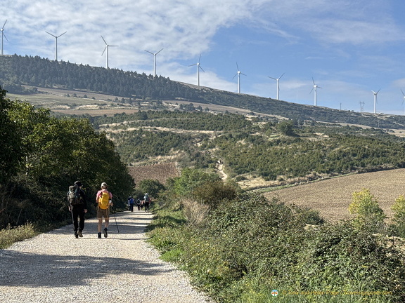 IMG 0563 (1)-watermarked