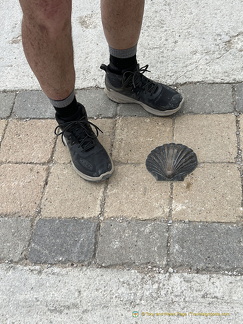Famous Camino shell