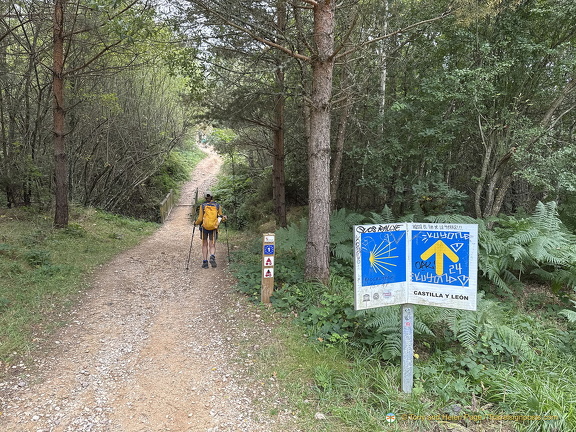 Walking through woodlands