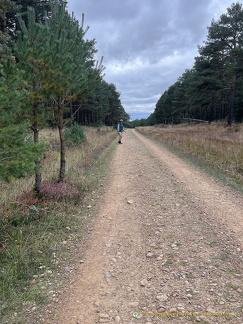 IMG 0601-watermarked