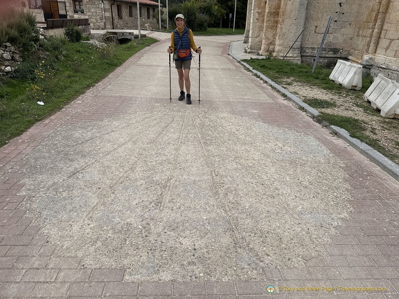 A giant scallop welcome.