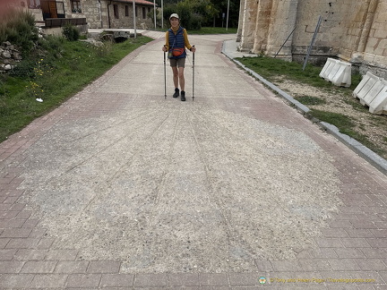 A giant scallop welcome.