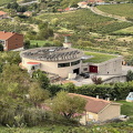 View of Luis Alegre Winery 