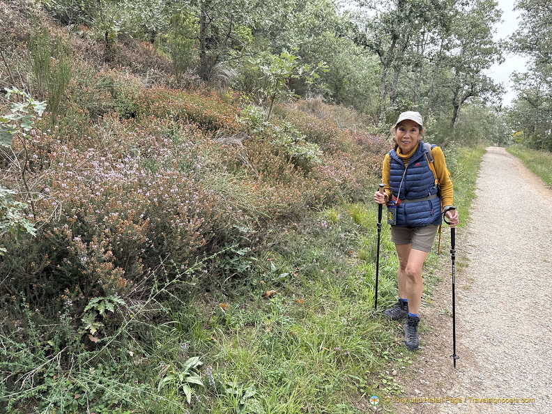 Road to Camino de Santiago