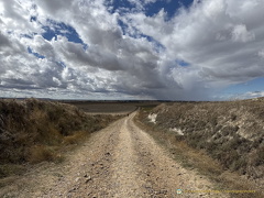 IMG 0617-watermarked